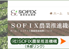 SOFIX_Ɛi@\